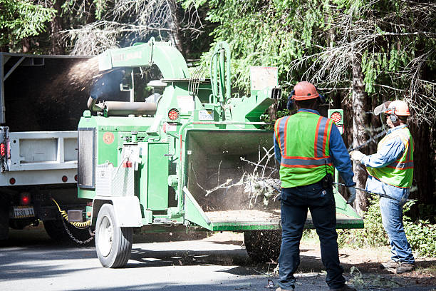 Best Weed Control  in Hermosa Beach, CA